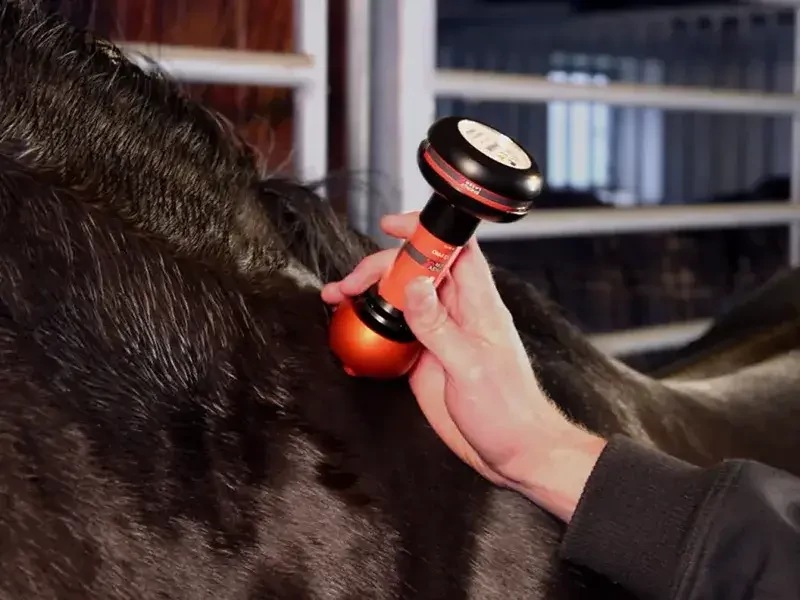 energy-laser-l2000-pro-lagylezer-lo-kezelese